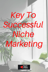 successful niche marketing