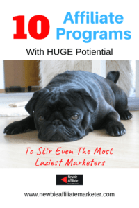 affiliate programs for the laziest marketers