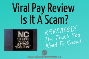 viral pay review