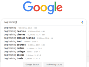 Google keyword search example 